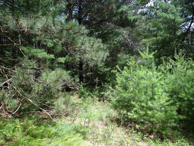 N1771 COUNTY RD EE, Redgranite, WI 54970