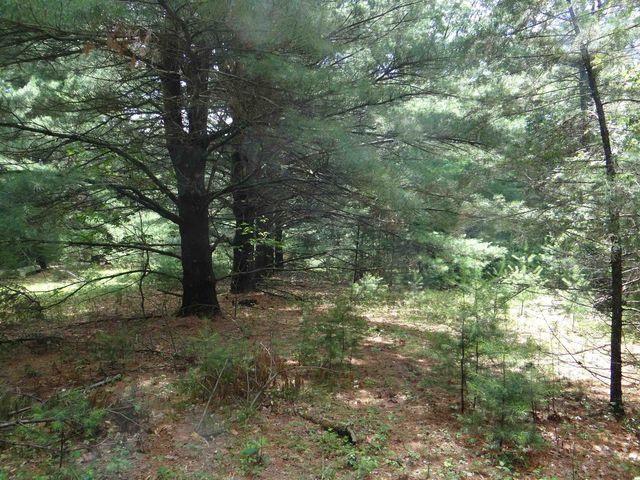 N1771 COUNTY RD EE, Redgranite, WI 54970