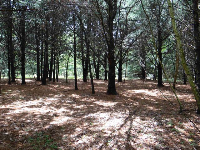 N1771 COUNTY RD EE, Redgranite, WI 54970