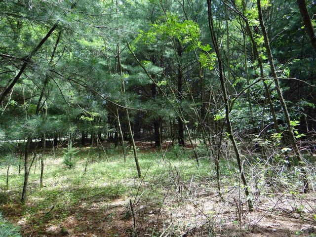 N1771 COUNTY RD EE, Redgranite, WI 54970