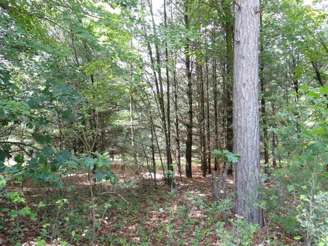 N1771 COUNTY RD EE, Redgranite, WI 54970