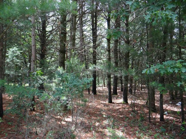 N1771 COUNTY RD EE, Redgranite, WI 54970