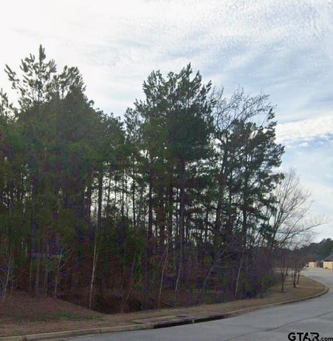4968 Shiloh Village, Tyler, TX 75703