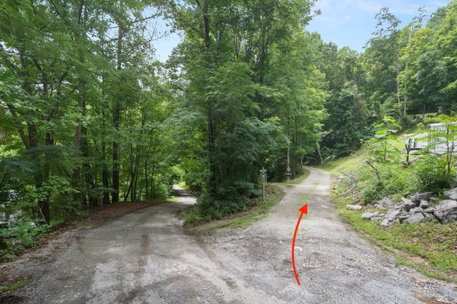250 Owl Trce, Smithville, TN 37166