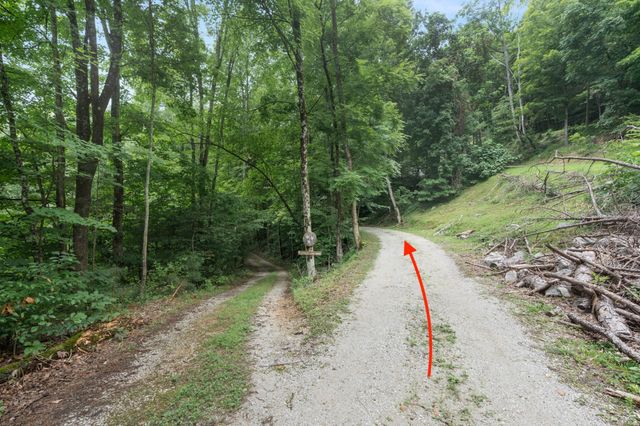 250 Owl Trce, Smithville, TN 37166
