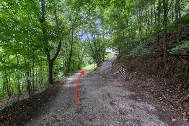 250 Owl Trce, Smithville, TN 37166