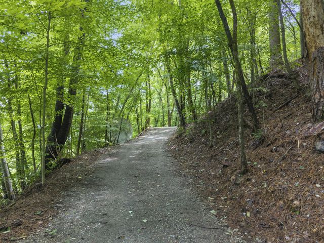 250 Owl Trce, Smithville, TN 37166