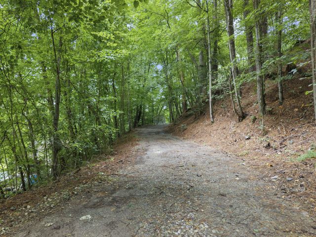 250 Owl Trce, Smithville, TN 37166