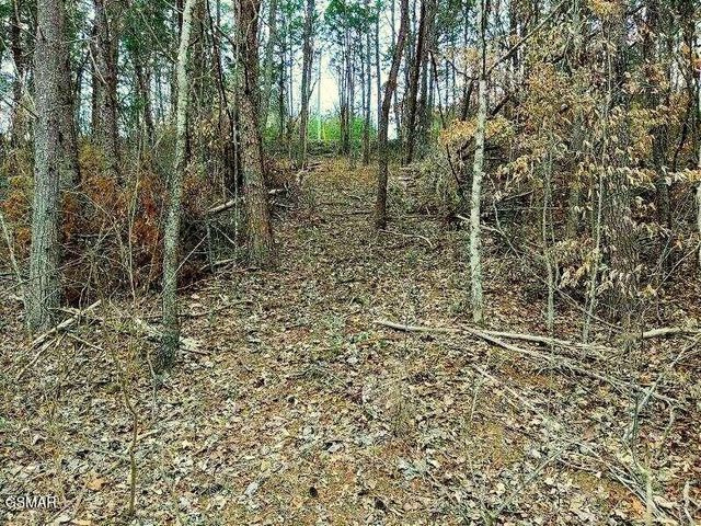 17 Scott Street, Sevierville, TN 37876