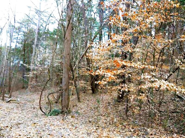 17 Scott Street, Sevierville, TN 37876