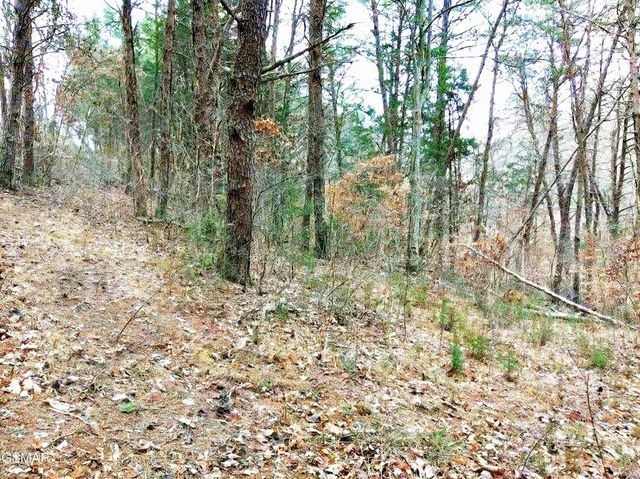 17 Scott Street, Sevierville, TN 37876