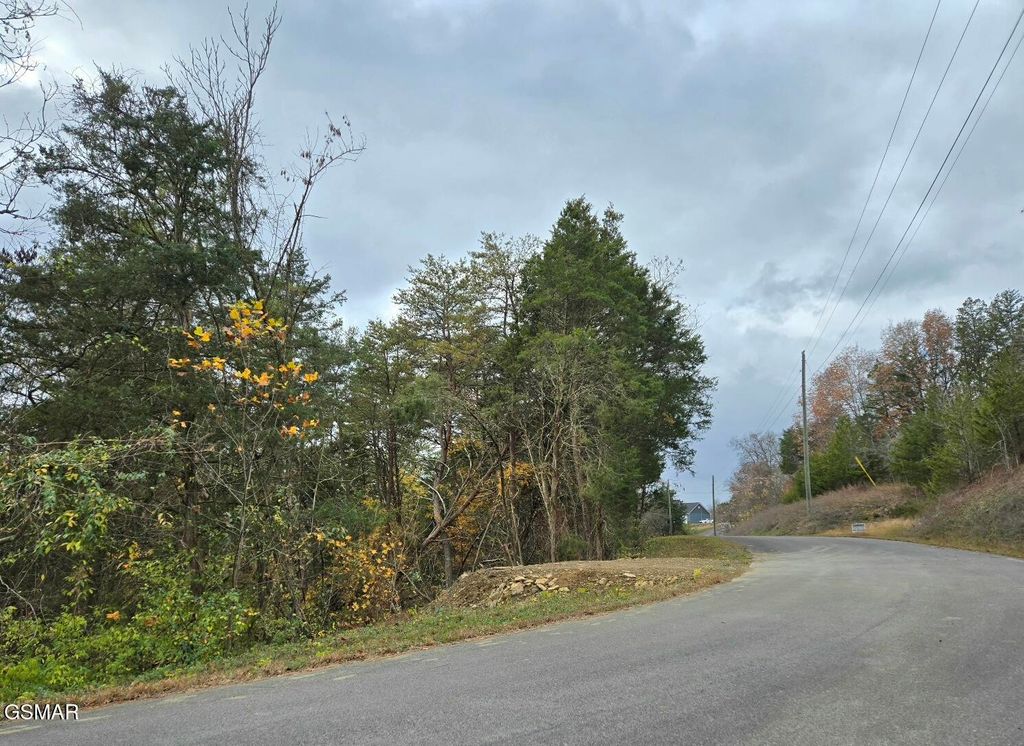 17 Scott Street, Sevierville, TN 37876
