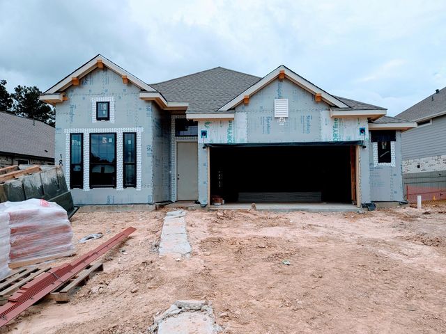 18020 Brennie Bird Lane, Conroe, TX 77302