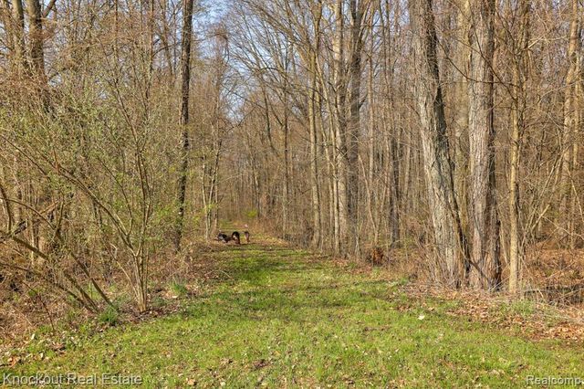 13319 Blueberry Lane, Otter Lake, MI 48464