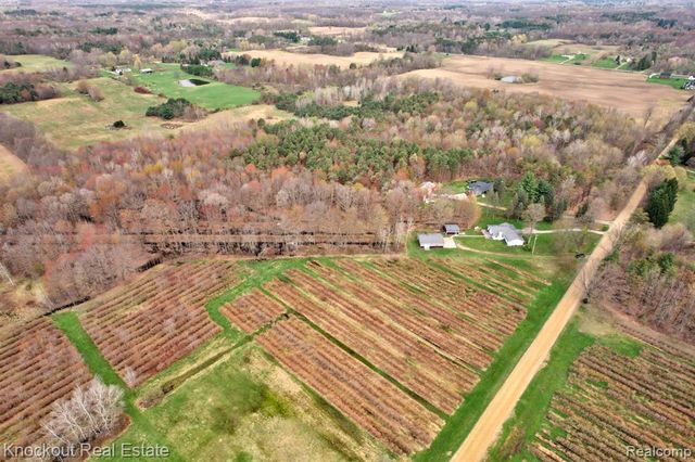 13319 Blueberry Lane, Otter Lake, MI 48464