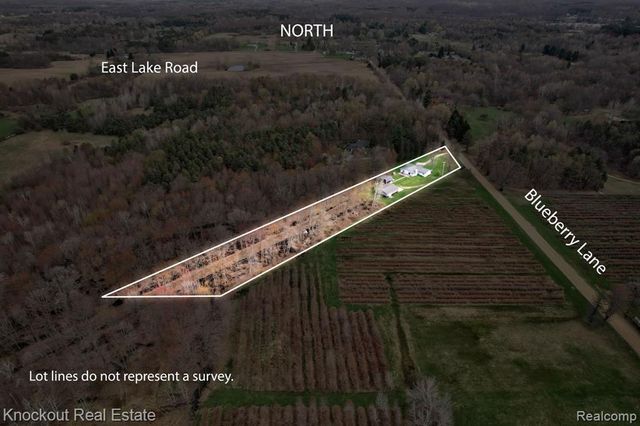 13319 Blueberry Lane, Otter Lake, MI 48464