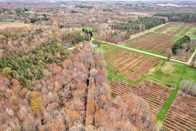 13319 Blueberry Lane, Otter Lake, MI 48464