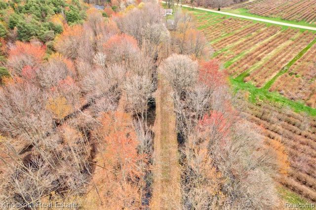 13319 Blueberry Lane, Otter Lake, MI 48464