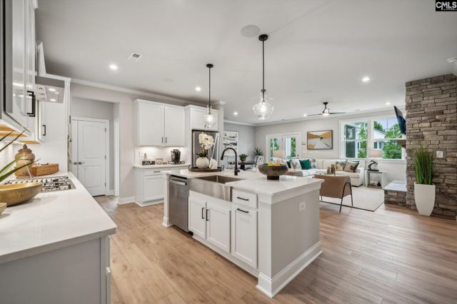 704 Feldspar Court, Chapin, SC 29036