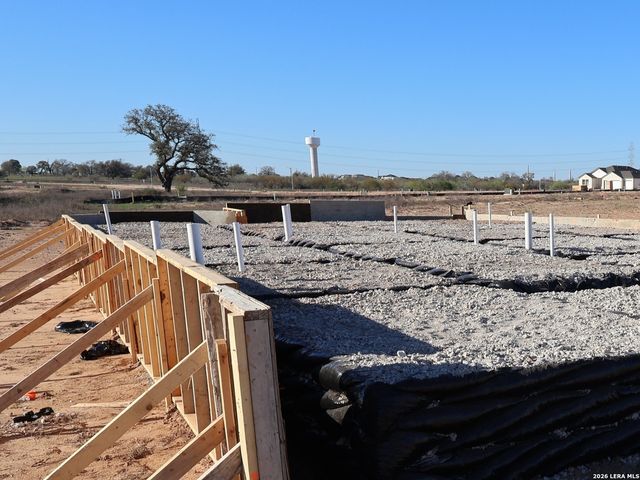 17423 Elder Walnut Drive, Elmendorf, TX 78112