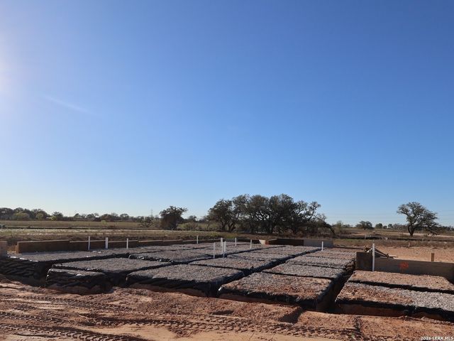 17423 Elder Walnut Drive, Elmendorf, TX 78112