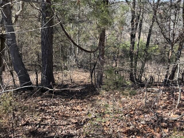 2351 Dreyfus Road, Waco, KY 40385