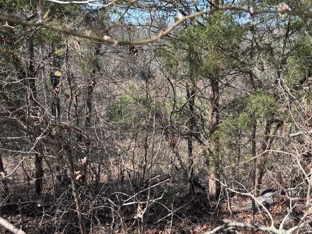 2351 Dreyfus Road, Waco, KY 40385