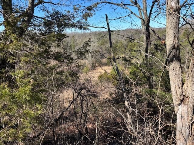 2351 Dreyfus Road, Waco, KY 40385