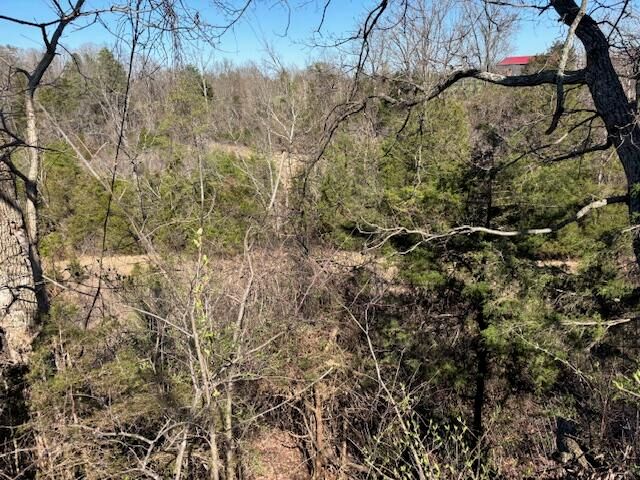 2351 Dreyfus Road, Waco, KY 40385