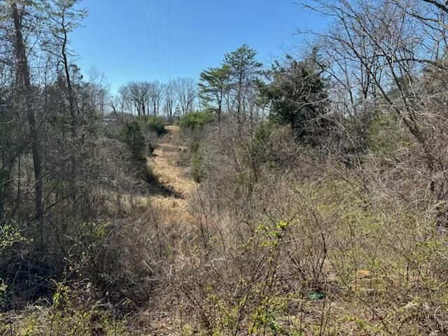 2351 Dreyfus Road, Waco, KY 40385