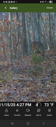 2351 Dreyfus Road, Waco, KY 40385