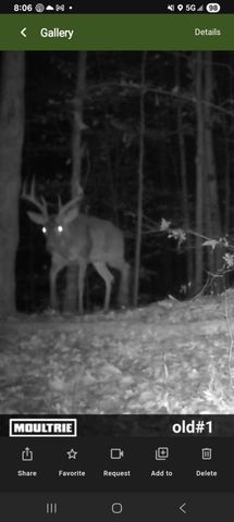 2351 Dreyfus Road, Waco, KY 40385