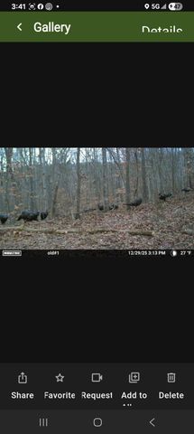 2351 Dreyfus Road, Waco, KY 40385