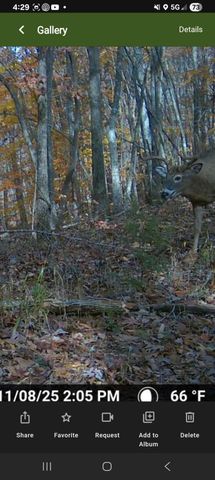 2351 Dreyfus Road, Waco, KY 40385