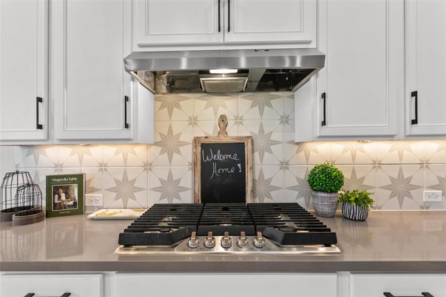 1035 Teakmill TRL, San Marcos, TX 78666