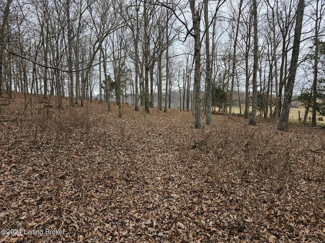 Tract 8 Troutman Ln, Clarkson, KY 42726