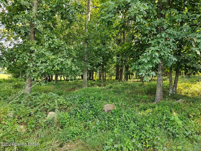 Tract 8 Troutman Ln, Clarkson, KY 42726