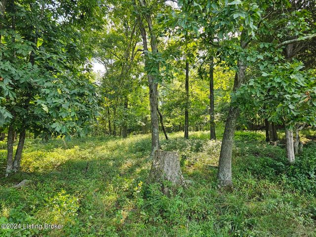 Tract 8 Troutman Ln, Clarkson, KY 42726