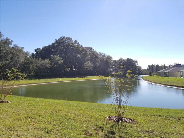 30708 WALKER CUP PLACE, Wesley Chapel, FL 33543
