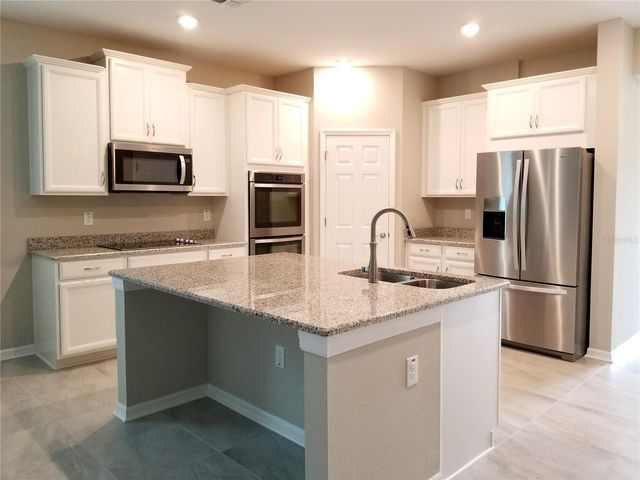 30708 WALKER CUP PLACE, Wesley Chapel, FL 33543