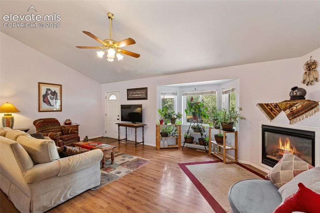 1121 Ridge Road, Divide, CO 80814 — photo 5