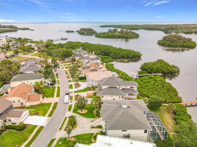 2021 NORTH POINTE ALEXIS DRIVE, Tarpon Springs, FL 34689