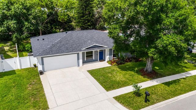 4113 HOLLOW HILL DR, Tampa, FL 33624