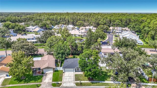 4113 HOLLOW HILL DR, Tampa, FL 33624