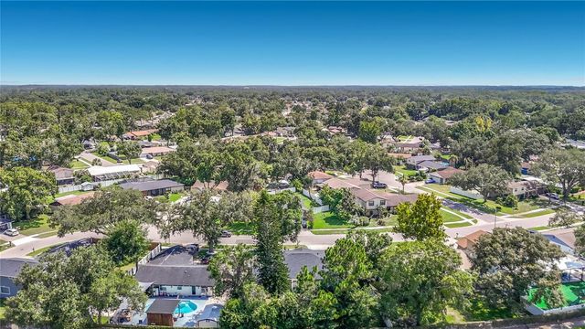4113 HOLLOW HILL DR, Tampa, FL 33624