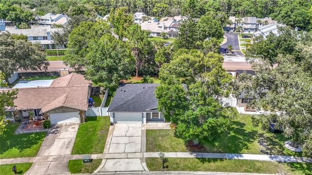 4113 HOLLOW HILL DR, Tampa, FL 33624