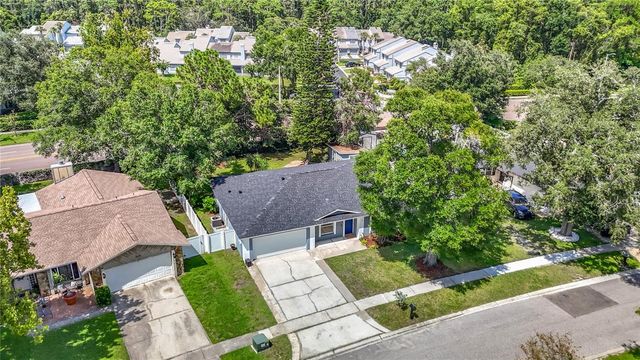 4113 HOLLOW HILL DR, Tampa, FL 33624