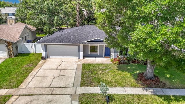 4113 HOLLOW HILL DR, Tampa, FL 33624