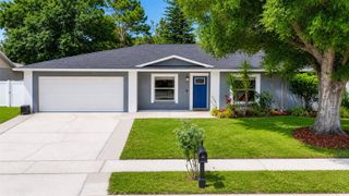 4113 HOLLOW HILL DR, Tampa, FL 33624