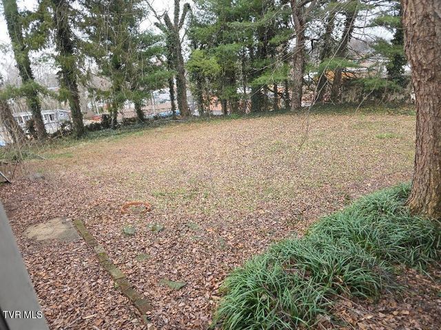 605 Haynes Street, Bristol, TN 37620